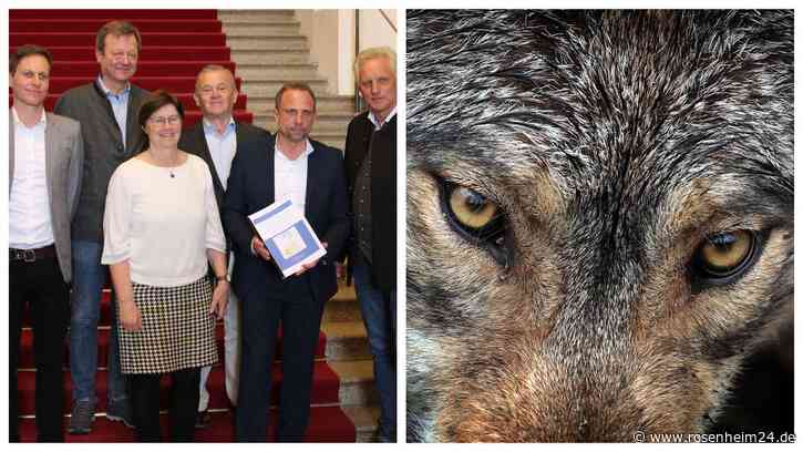 Wolfsresolution im Achental: „Eine Lösung ohne Wolf wird es nicht geben, weil die Wölfe einfach da sind.“
