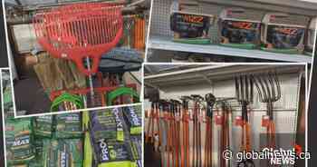 Golden Acre: spring gardening