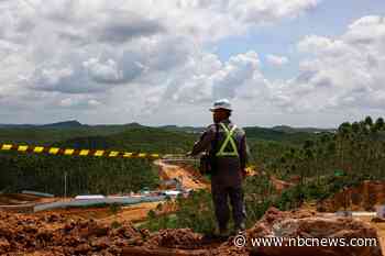 Indonesia’s new capital raises fears for orangutans, dolphins and more