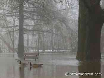 Eastern Ontario conservation authority issues flood warning