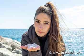 Cette naturaliste nous dit tout sur le sabot de Vénus, ce mollusque étrange visible sur les plages varoises