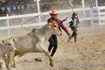 Guyana's Rupununi Rodeo Celebrates Local Cowboy Culture