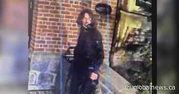 Suspect image released in relation to damage done to Surrey, B.C. cenotaph