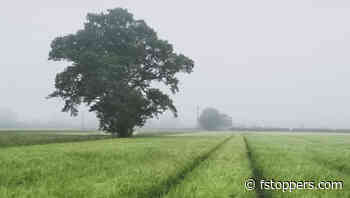 The Beauty of the Ordinary