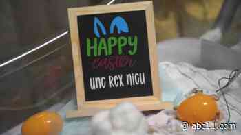 Newborns at UNC Rex in Raleigh dress up for Easter