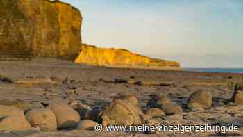 Junge (9) entdeckt 200 Millionen Jahre altes Fossil am Strand