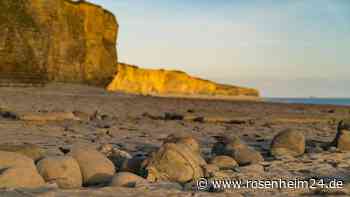 Junge (9) entdeckt 200 Millionen Jahre altes Fossil am Strand
