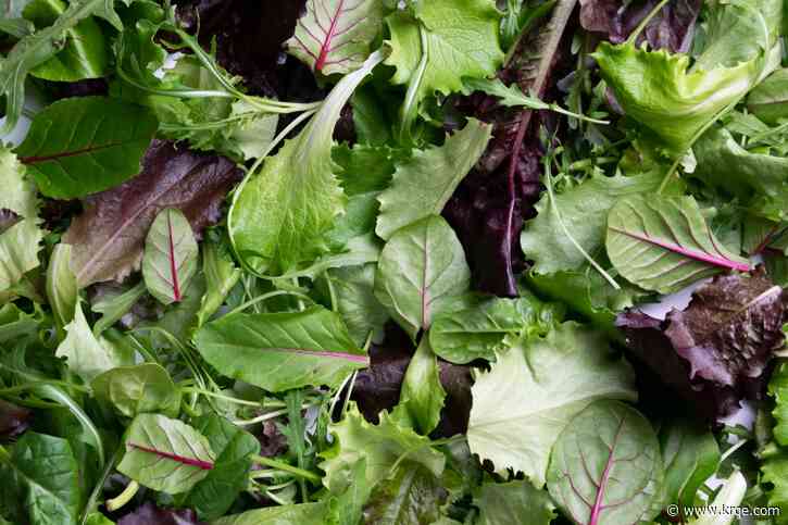 Salad kits sold in 5 states recalled for listeria