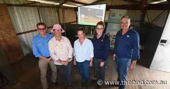 Click go the shears: how farmers are prioritising safety in woolsheds