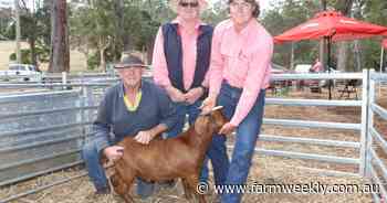 Second annual goat sale a good one