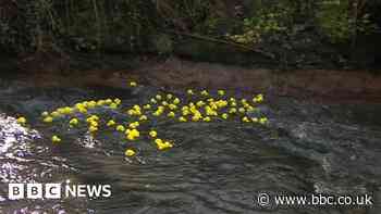 Hundreds turn out to enjoy annual duck race near Bristol