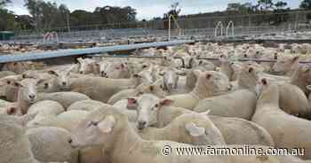 Records tumble as China demands Aussie mutton