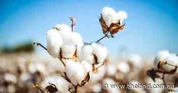 Cotton industry moves to divert textile waste from landfill