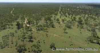 Goldfields country heads to auction