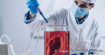 Italy snubs lab-grown meat; where Australia stands