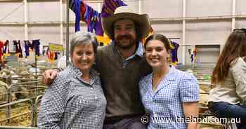 Merino exhibitors toast a successful Sydney Royal