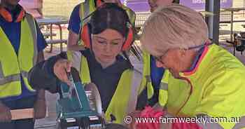 Teaching trades to young country women