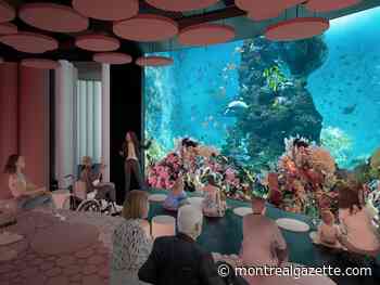 Opinion: An aquarium at Royalmount? Terrible idea