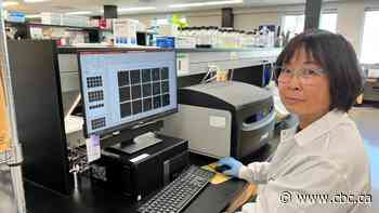 Sask. scientists developing vaccines to protect birds and humans from avian flu