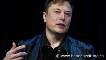 Musks Twitter in kurzem Konflikt mit Online-Plattform Substack