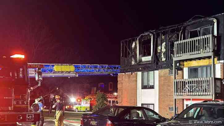 Firefighters able to save multiple pets in 'major emergency' apartment fire