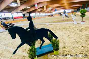 Katrin Zink aus Steinhagen gewinnt L-Dressur