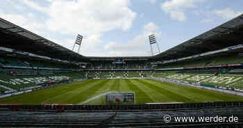 Exklusive Stadionführungen vor dem Freiburg-Spiel