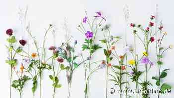 Kunstblumen statt echter Blumen: Welche Vorteile sie haben