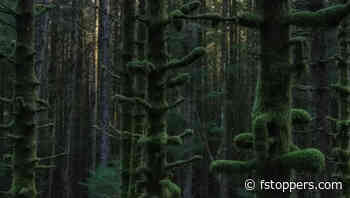 A Look at How to Make Expressive Landscape Photos