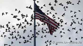 Ausgangssperre in den USA: Bürgermeister von Baltimore plant Sperrstunde für Jugendliche