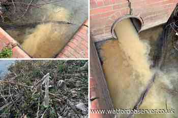 Watford MP Dean Russell on new water and sewage plan