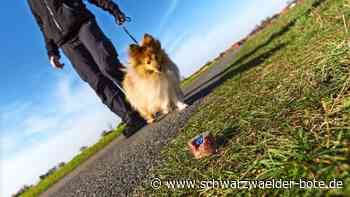 Giftköder-Alarm in Gechingen?: Nach Verdachtsfällen: Das ist der Stand der Dinge