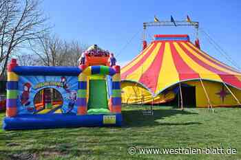 Warburg: Gesetz verhindert Vorstellung des „Circus Toggolino“