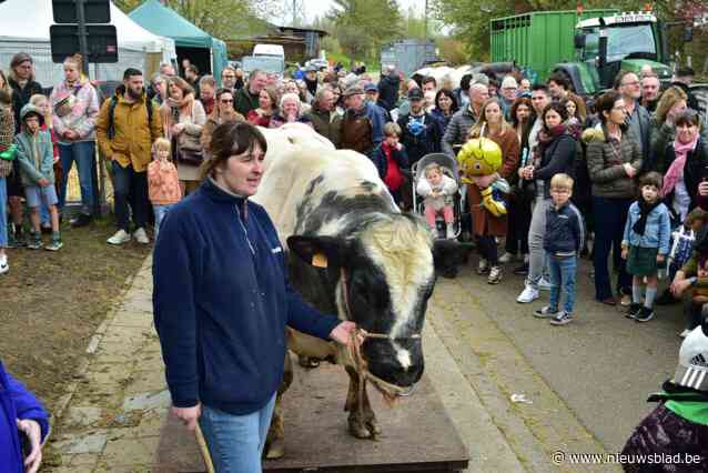 KIJK. Geen zon, maar wel veel sfeer op jaarmarkt: 25.000 bezoekers gaan na vier jaar weer uit de bol op Posse Leest
