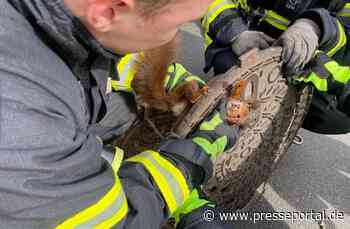 FW-DO: Eichhörnchen aus misslicher Lage befreit