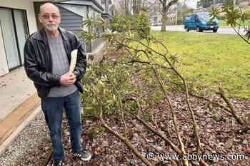 Strata of condo damaged in White Rock car crash votes to accept ICBC offer