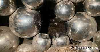 Man traps himself inside Edmonton’s Talus Dome