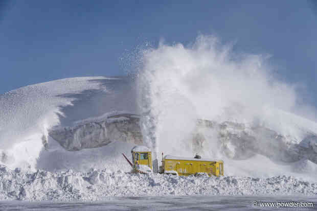 Monumental Mammoth—A Photo Essay by Christian Pondella