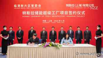 Tesla will in China eine Batteriefabrik bauen – mitten im Tech-Konflikt mit den USA
