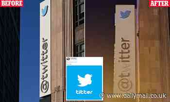 Breast-obsessed Elon Musk paints over the 'W' on Twitter sign - changing it to 'Titter'
