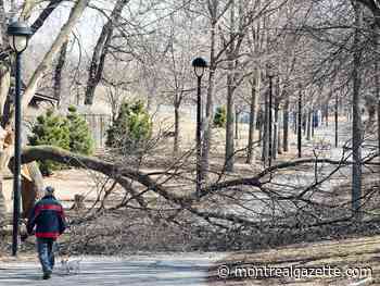 Quebec ice storm: 20,959 Montreal customers still without power Monday afternoon