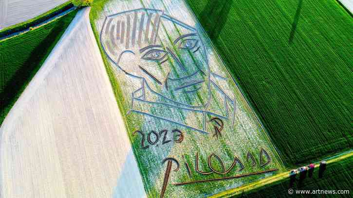 Italian Land Artist Creates “World’s Largest” Picasso Portrait