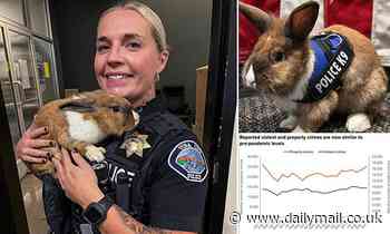 Pet RABBIT joins police station in California as its 'wellness officer' 