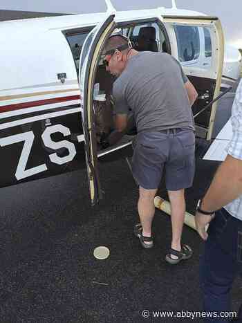 Snake on a plane! South African pilot finds cobra under seat