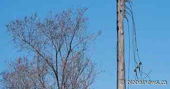 Frustration mounts for Quebecers still without power five days after ice storm