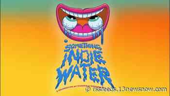 50 Virginia artists to perform at 'Something Indie Water' at Virginia Beach Oceanfront