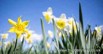 'Soft heatwave' could hit UK by the end of the month