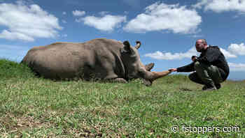 One Photographer's Thoughts After Four Years With the Leica M System