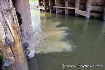 Harrison Hot Springs crew quick to fix sewer main leak spilling into Miami River