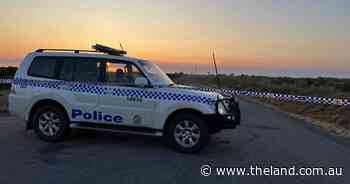 Police bust $28m illegal tobacco syndicate in Murga